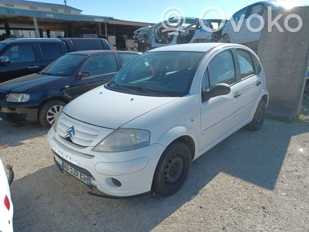 C3 C3, Pluriel, Picasso  00004541FX