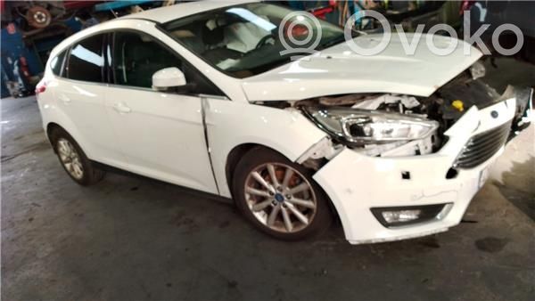 Focus Focus  1874687