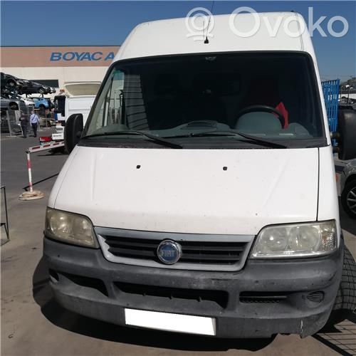 Ducato Ducato  1337648080