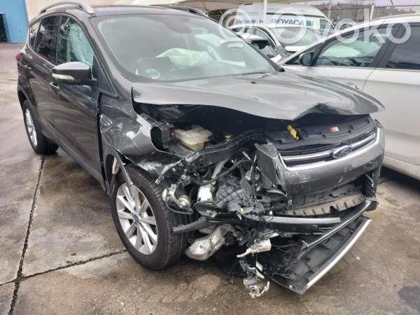 Kuga II Kuga