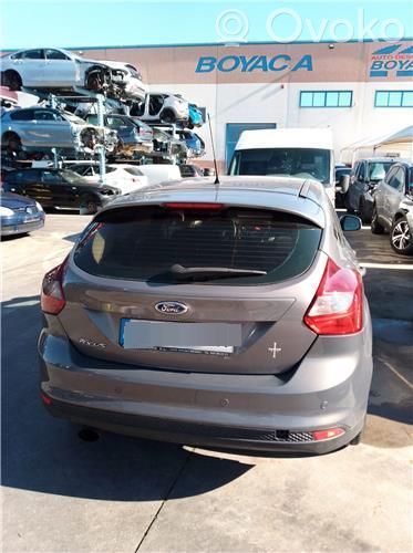 Focus Focus  2079589