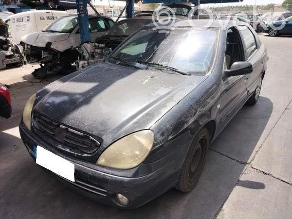 Xsara Xsara, Xsara Picasso