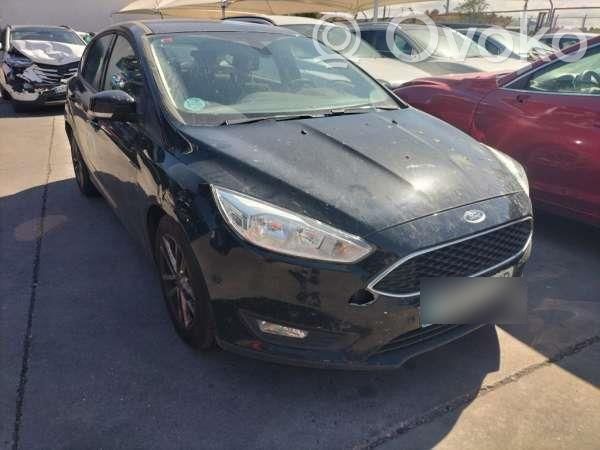 Focus Focus  1924390