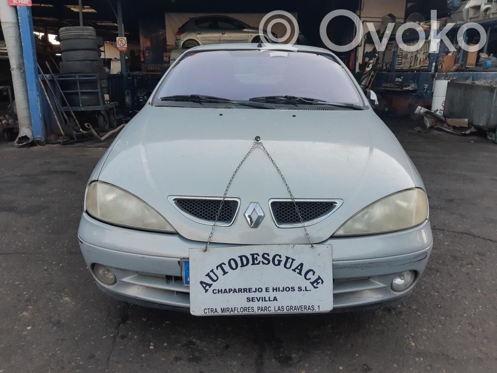 Megane II Megane  429995B