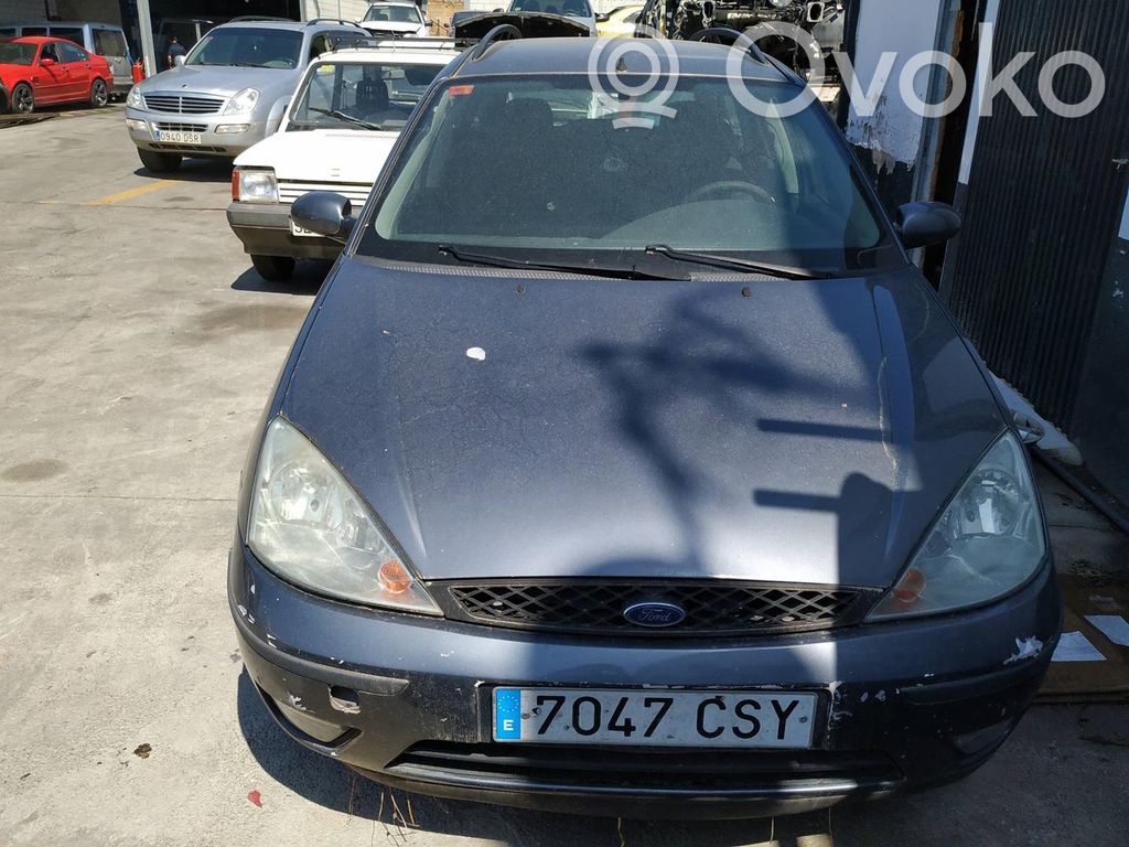 Focus Focus  1149062