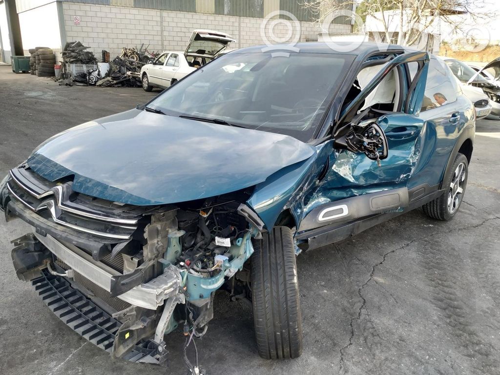 C4 Cactus C4 Picasso, Grand Picasso, Aircross, Cactus  9816276480