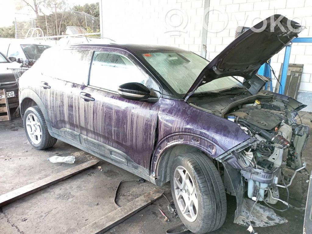 C4 Cactus C4 Picasso, Grand Picasso, Aircross, Cactus