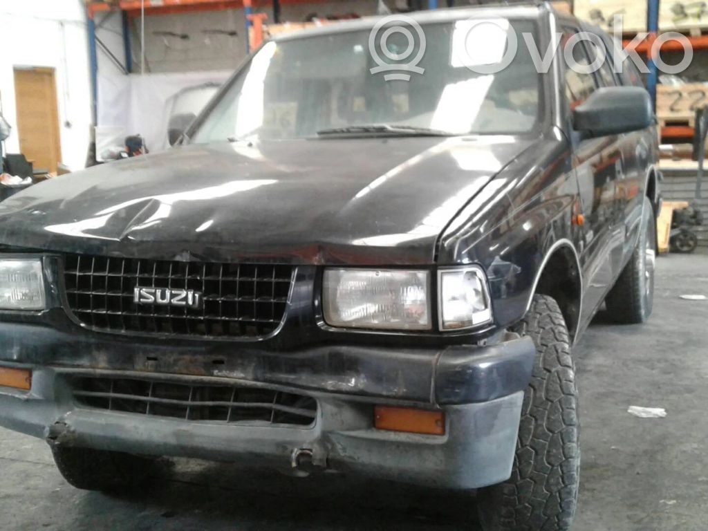 Rodeo Rodeo  337576