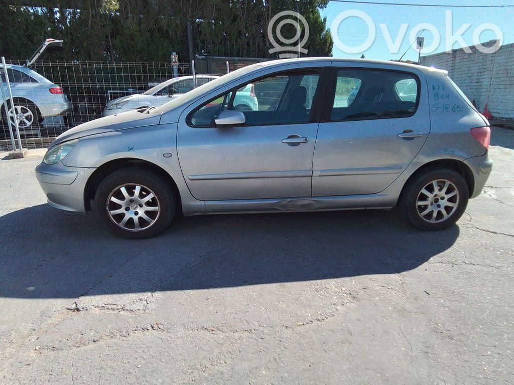 307 307  9657823980