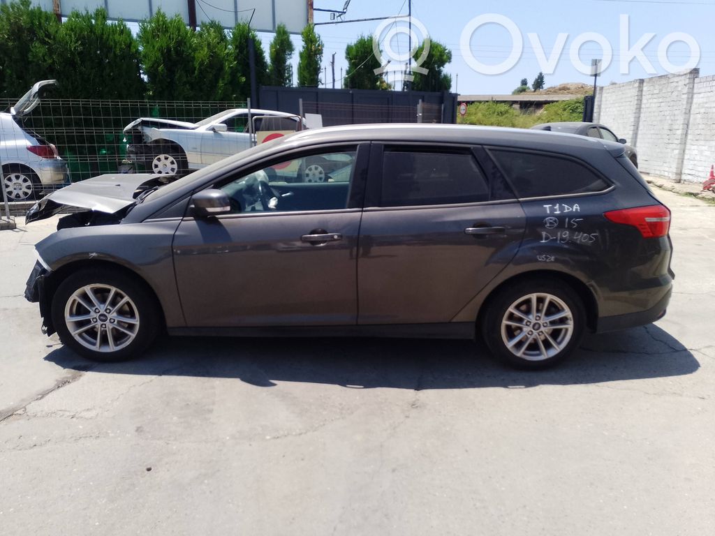 Focus Focus  BV6117K624BB