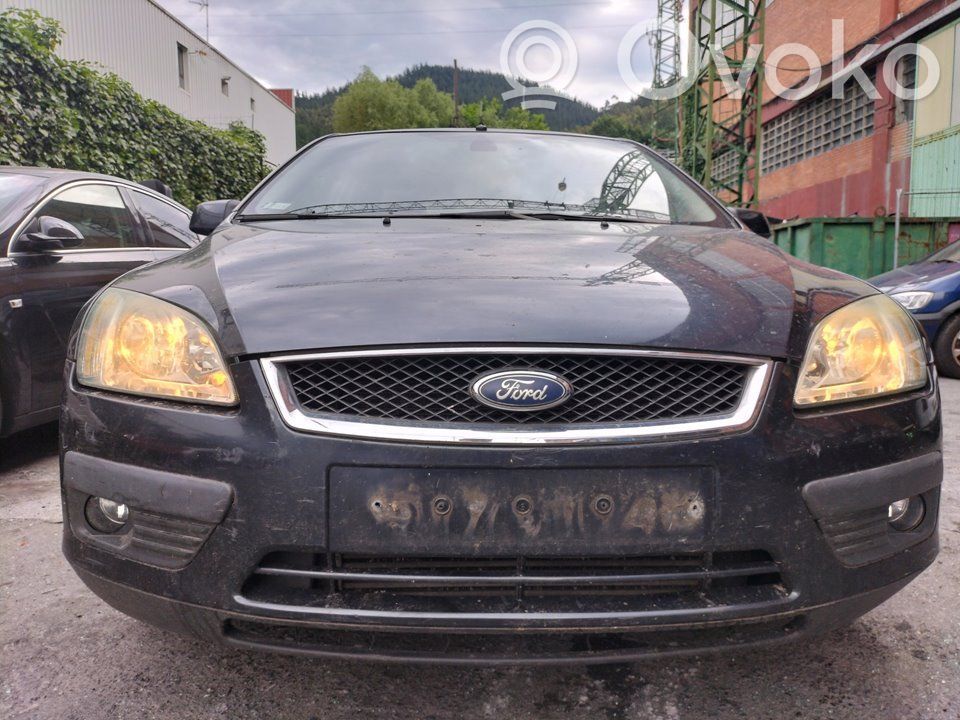 Focus Focus  981406103