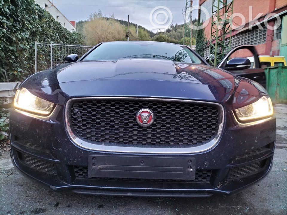 XE XE  C39793101
