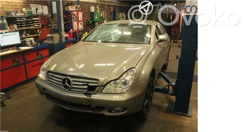CLS C219 CLS-class, AMG (W219,C218/X218)  0258006687