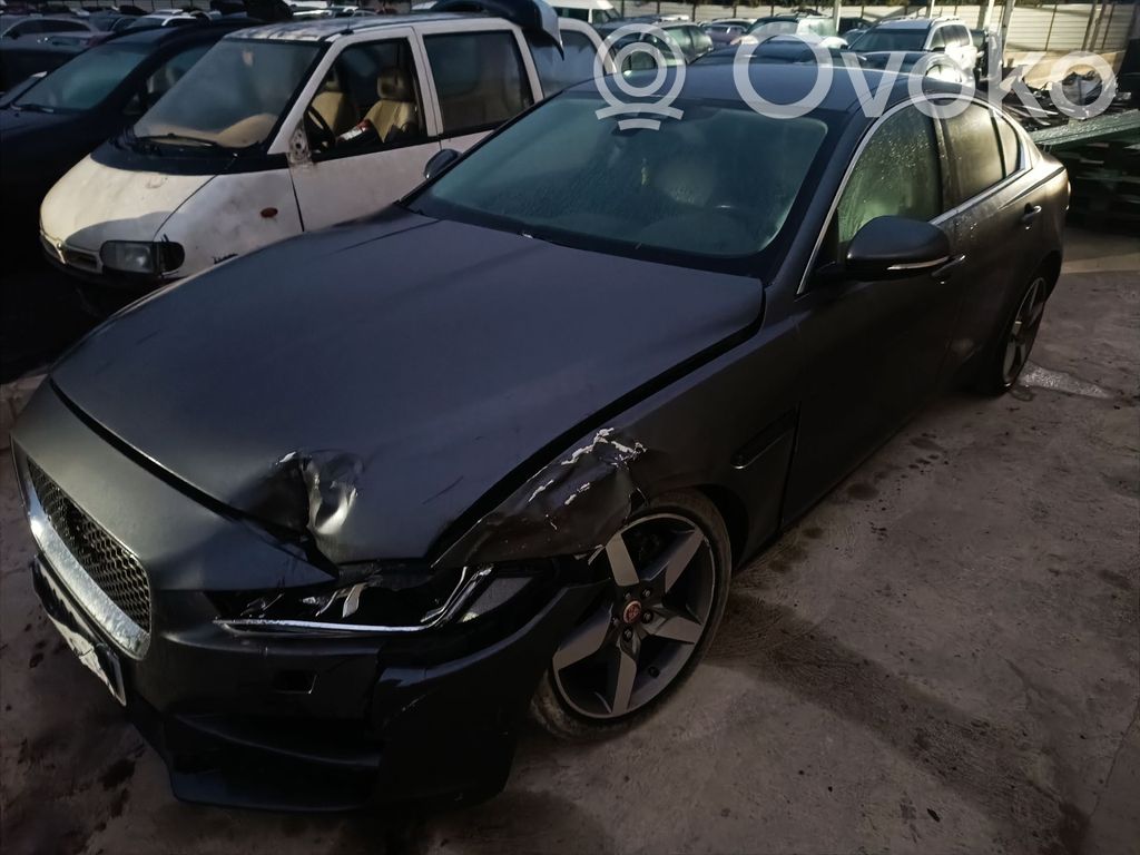 XE XE  T2H3650