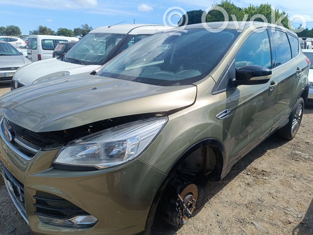 Kuga II Kuga  1855901