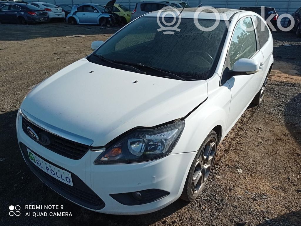 Focus Focus  1708176