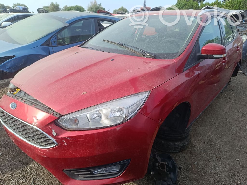 Focus Focus  2018250