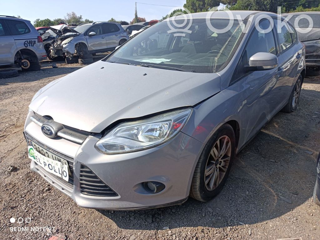 Focus Focus  1703205