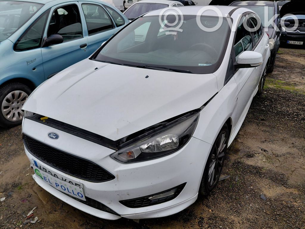 Focus Focus  2258870