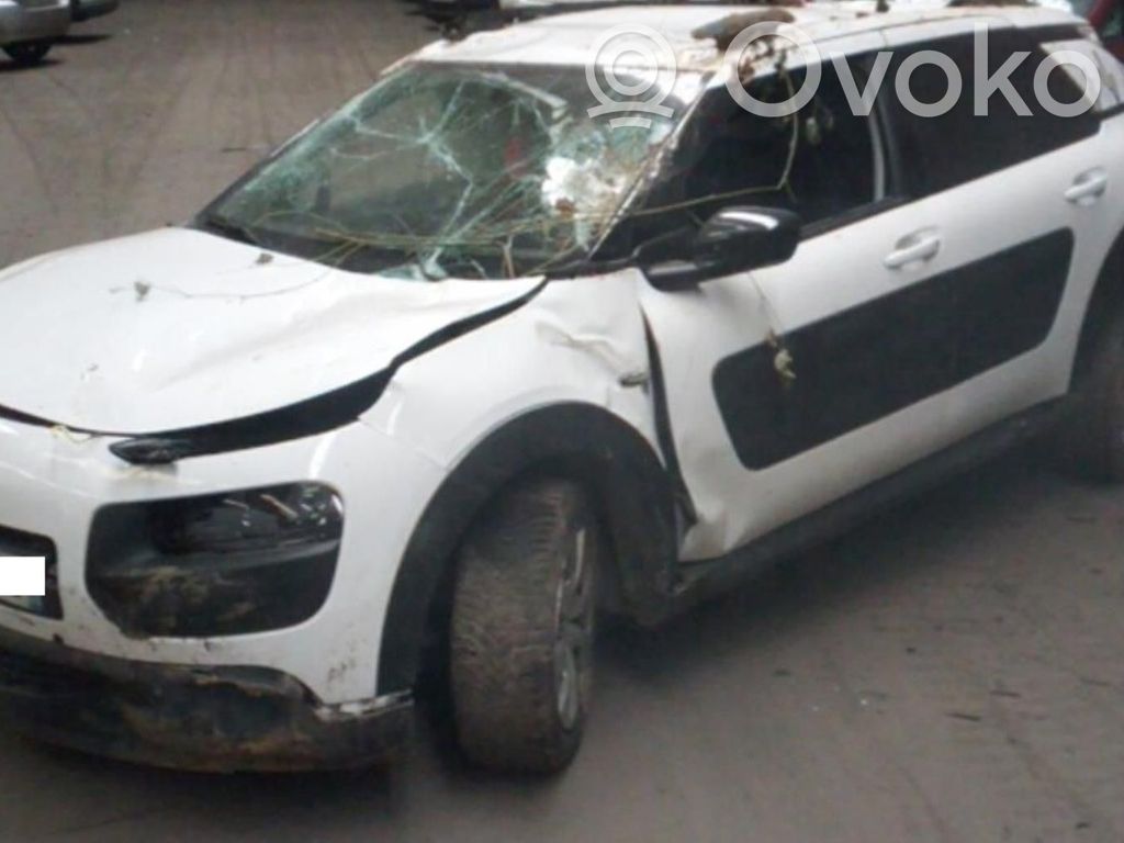 C4 Cactus C4 Picasso, Grand Picasso, Aircross, Cactus  1611428480