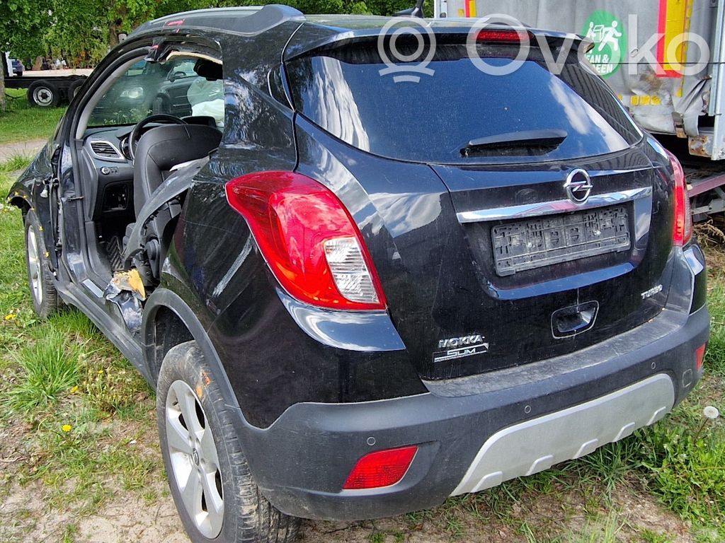 Mokka Mokka  55572440