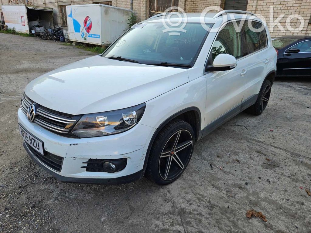 Tiguan Tiguan  5N0413031AP