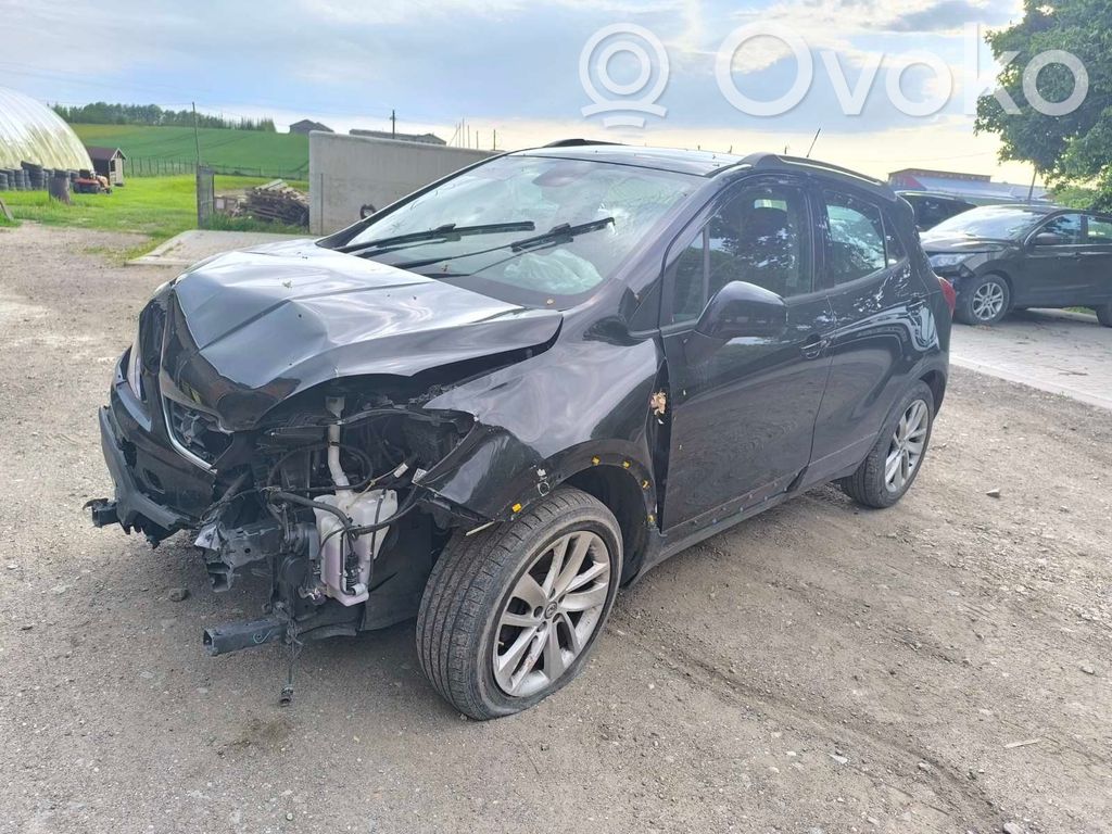 Mokka Mokka  95297440