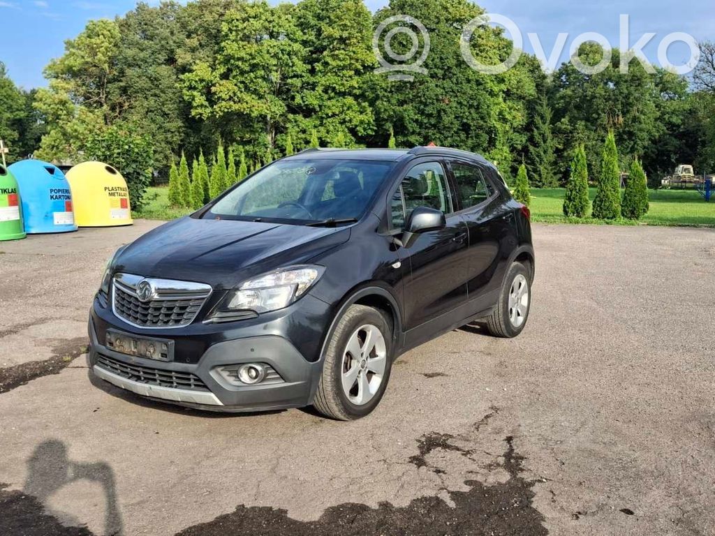 Mokka Mokka  P13506237