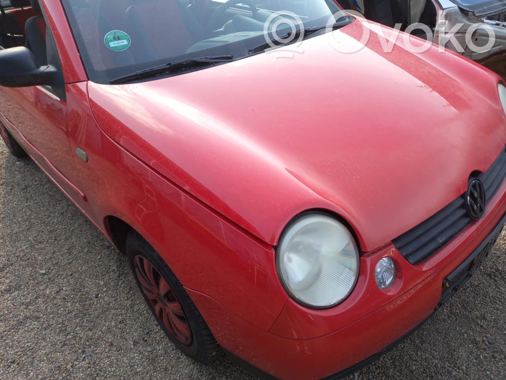 Lupo Lupo  E9024022