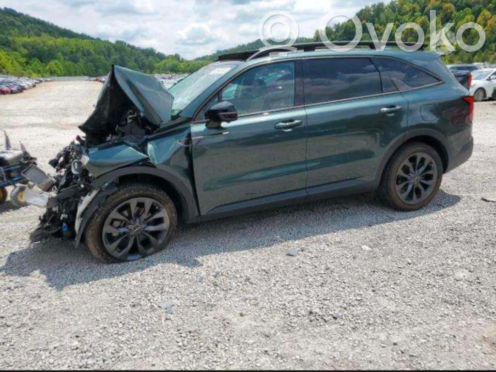 Sorento IV Sorento  299225541
