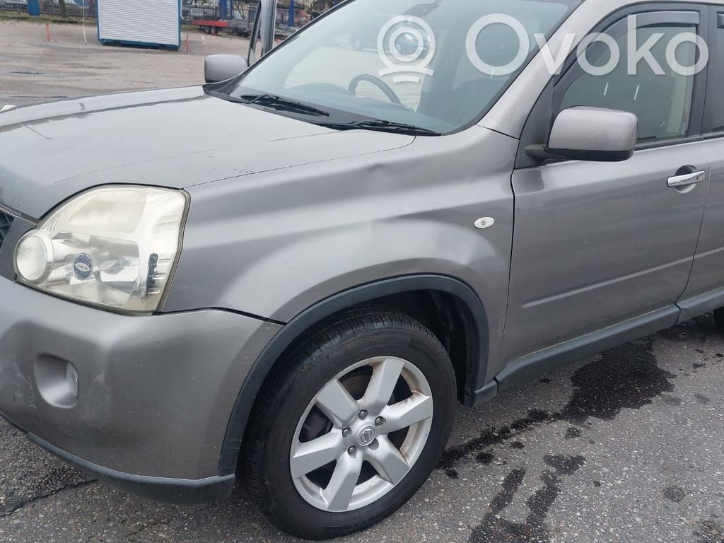 X-Trail T31 X-Trail  25060JG00A