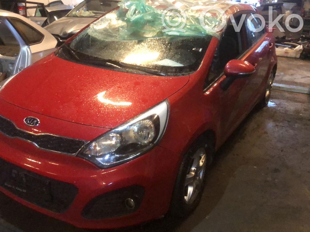 Rio Rio  3911103456