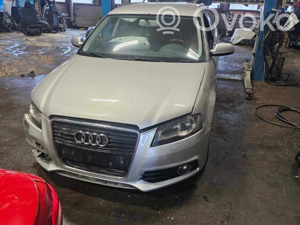 A3 S3 A3 Sportback 8P A3, S3  8R0419091E