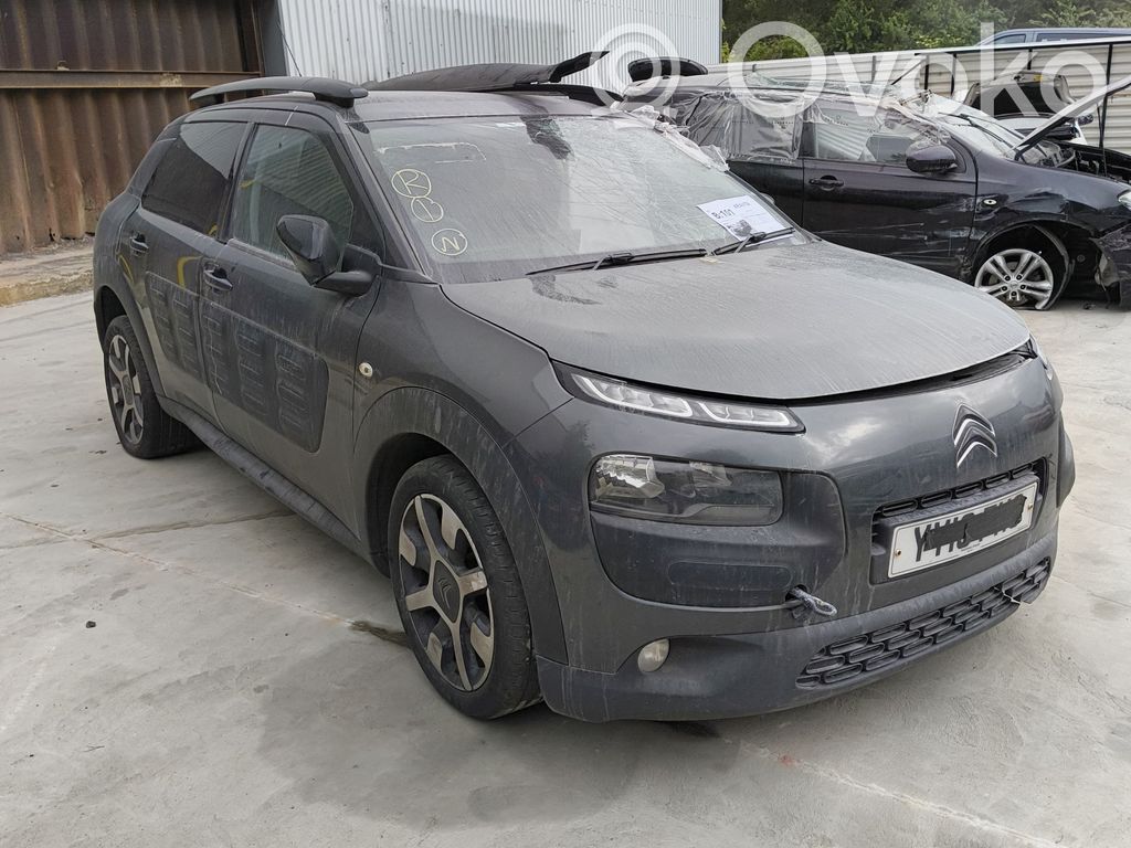 C4 Cactus C4 Picasso, Grand Picasso, Aircross, Cactus  573420