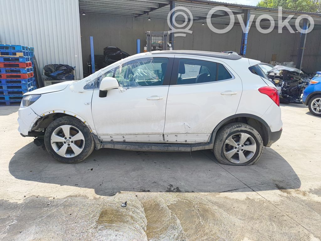 Mokka X Mokka  55506779