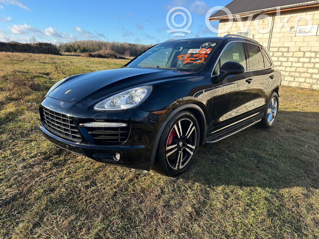 Cayenne (92A) Cayenne  PAF005651
