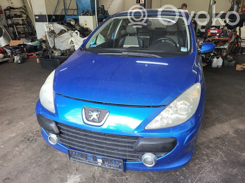 307 307  9654210280