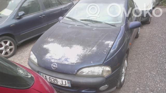 Tigra A Tigra  90541362