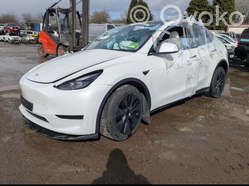 Model Y Tesla Model Y  165764812A