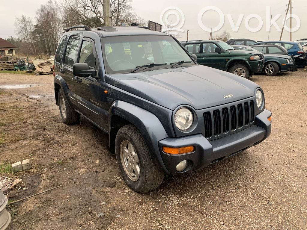 Cherokee Cherokee  56041641AC
