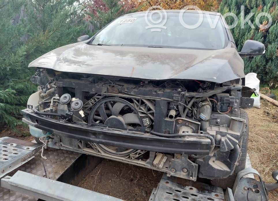 Fluence Fluence  10020702094