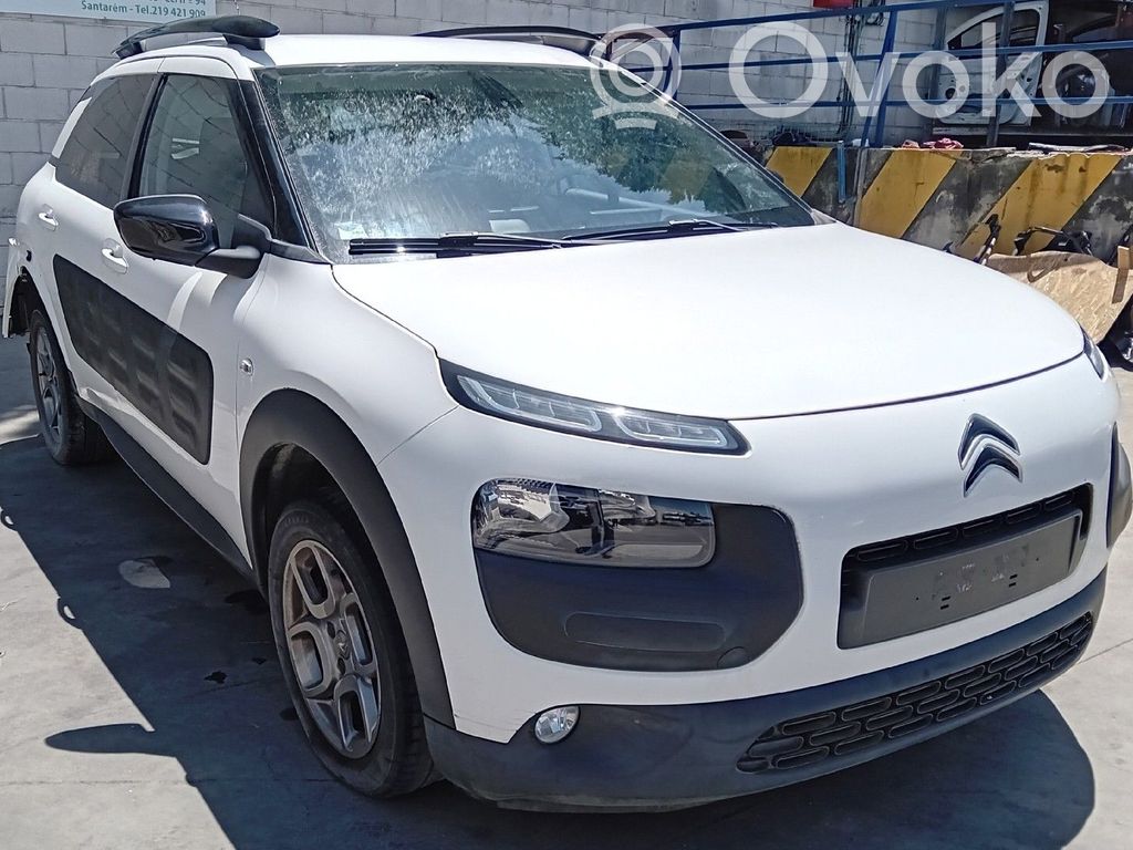 C4 Cactus C4 Picasso, Grand Picasso, Aircross, Cactus