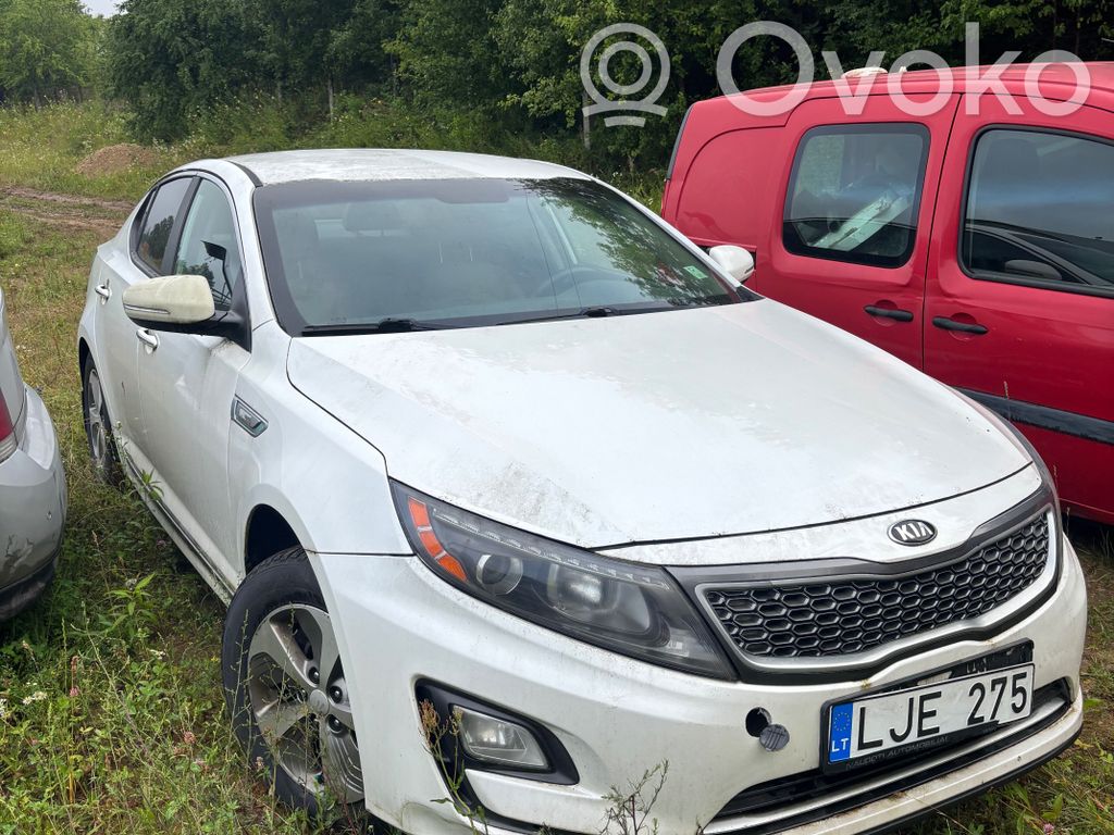 Optima Optima  7086366