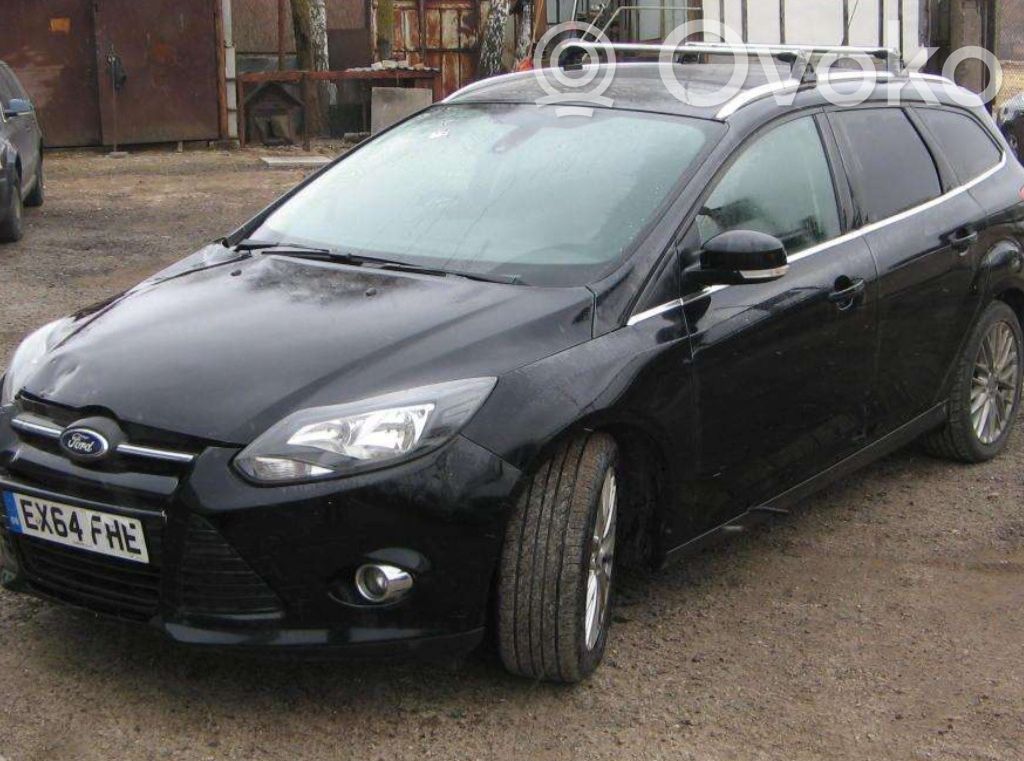 Focus Focus  BV6117K624BB