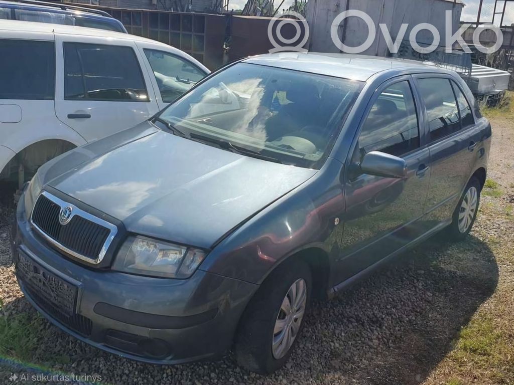 Fabia Mk1 (6Y) Fabia