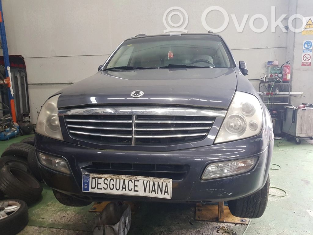 Rexton Rexton