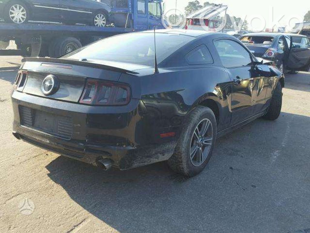Mustang V Mustang  RFAT4E6A267CD