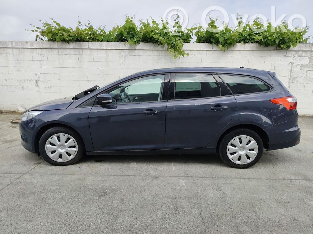 Focus Focus  1746832