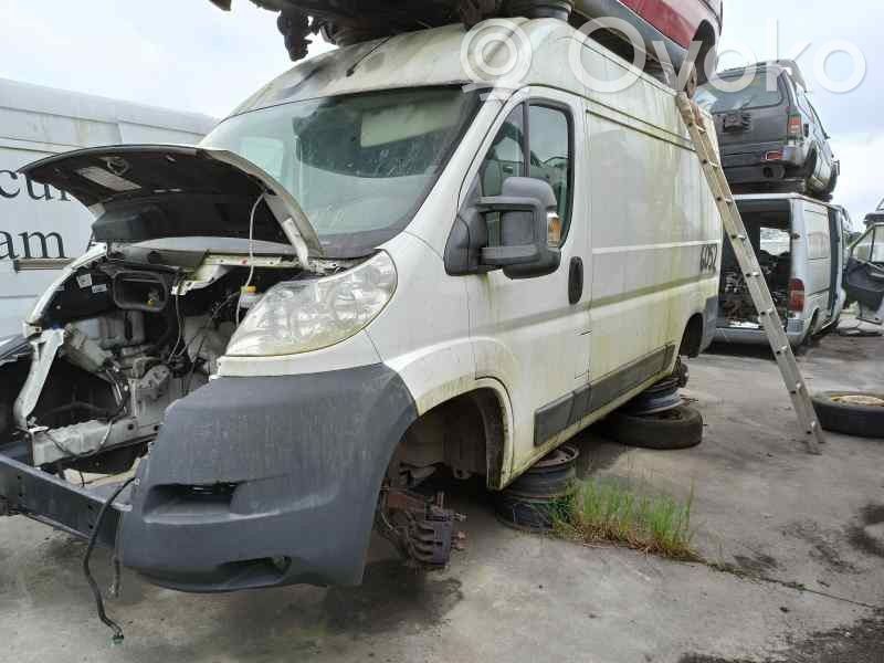 Boxer Boxer  324433