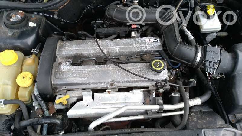 Escort Escort  96BB11000AA
